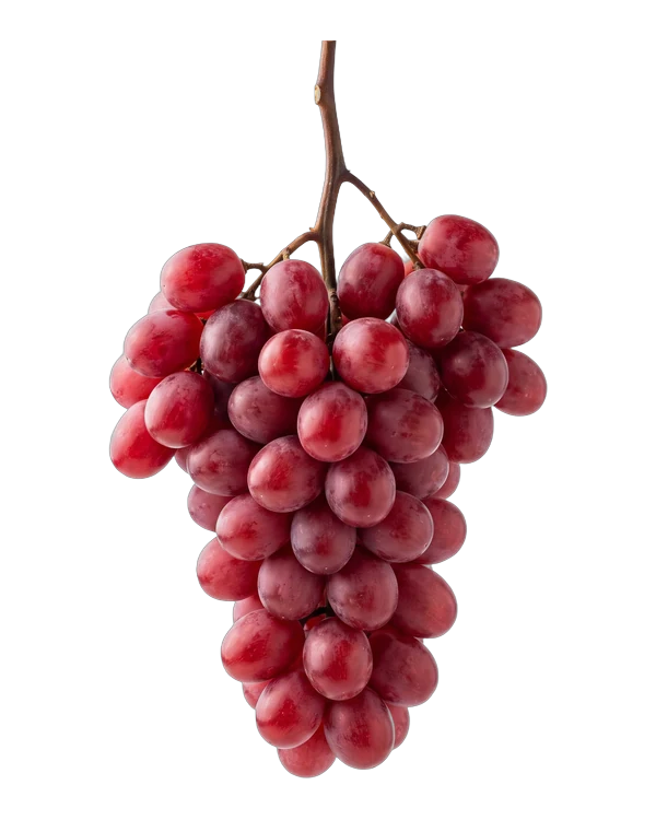 Bunch of Crimson Seedless grapes, a red seedless variety